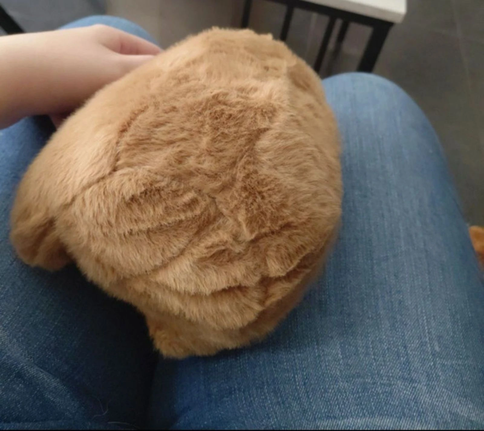 Peluche capivara – photo 4